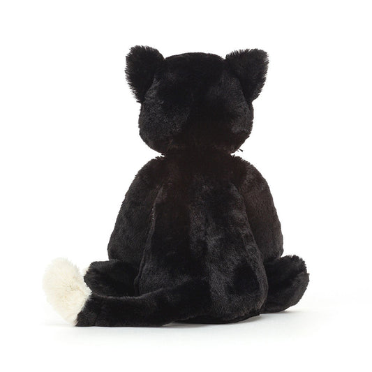 Bashful Black Kitten