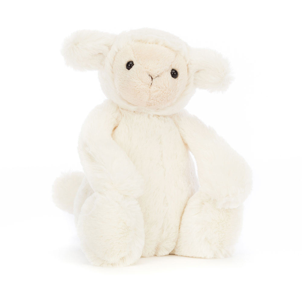 Bashful Lamb