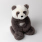 Harry Panda Cub