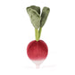 Vivacious Vegetable Radish